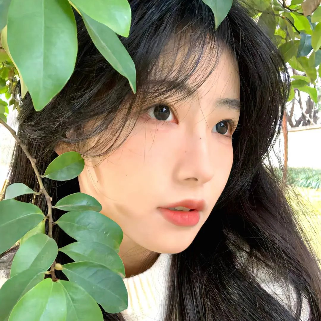 倾城之恋